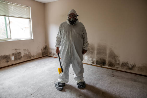 Best Industrial Mold Remediation in White Center, WA